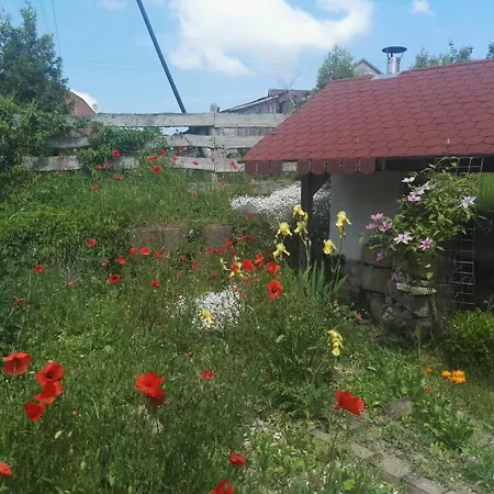 Gaestehaus Zum Gesundheitszentrum Matz