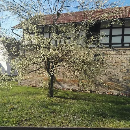 Gaestehaus Zum Gesundheitszentrum Matz 3*