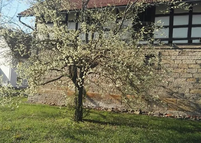 Gaestehaus Zum Gesundheitszentrum Matz 3*